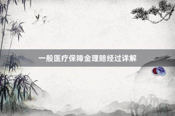 一般医疗保障金理赔经过详解