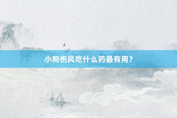 小狗伤风吃什么药最有用？